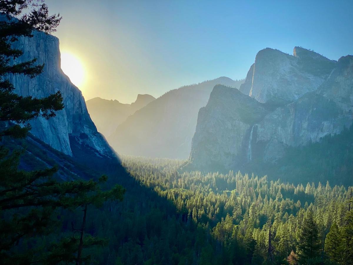 Yosemite South Hideaway Cabin By Casa Oso Holiday home *